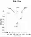 Fig. 35 - Control over controlled radical polymerization processes