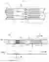 Fig. 02 - Partially separated fiber bundle and method of manufacturing same, chopped fiber bundle using same, and fiber-reinforced resin forming material