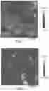 Fig. 02 - PHASE SEPARATED PRESSURE-SENSITIVE ADHESIVE COMPOSITIONS