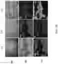 Fig. 07 - Metal nanoparticles as lubricant additives