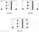Fig. 22 - Automated Cell Culturing