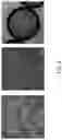 Fig. 07 - Contiguity particle formation and methods of use