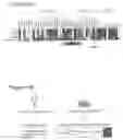 Fig. 02 - Human plasma-like medium