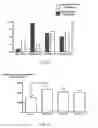 Fig. 06 - Methods and Compositions  for Producing Germ Cells from Bone Marrow Derived Germline Stem Cells