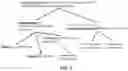 Fig. 02 - Neural cell extracellular vesicles