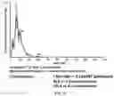 Fig. 06 - Neural cell extracellular vesicles