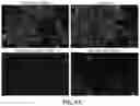 Fig. 09 - Neural cell extracellular vesicles