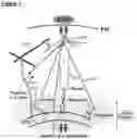 Fig. 02 - Skin tissue