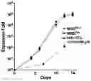 Fig. 01 - METHODS FOR EXPANDING AND DIFFERENTIATING B CELLS FOR PRODUCING ANTIBODY