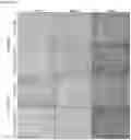 Fig. 06 - MULTIPLE TRANSGENE RECOMBINANT ADENOVIRUS