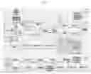 Fig. 02 - Recombinant microorganism for producing polyhydroxyalkanoate