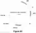 Fig. 07 - Attenuated glutamine synthetase as a selection marker