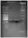 Fig. 01 - Simplified method for size-purification of small oligonucleotides via gel electrophoresis