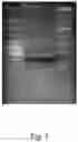 Fig. 02 - Simplified method for size-purification of small oligonucleotides via gel electrophoresis