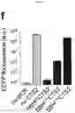 Fig. 07 - CRISPR RNA