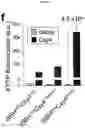 Fig. 22 - CRISPR RNA