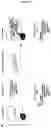 Fig. 45 - CRISPR RNA