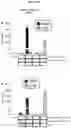 Fig. 49 - CRISPR RNA