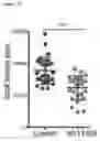 Fig. 43 - THERAPEUTIC MODULATION OF C-FOS IN THE EYE