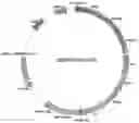 Fig. 01 - Recombinant cell, method for producing recombinant cell, and method for producing isoprene or terpene