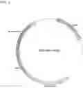 Fig. 02 - Recombinant cell, method for producing recombinant cell, and method for producing isoprene or terpene