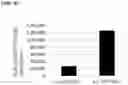 Fig. 04 - Method for Producing Useful Protein by Means of Plant