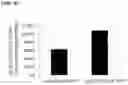 Fig. 06 - Method for Producing Useful Protein by Means of Plant