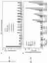 Fig. 43 - COMPOSITIONS AND METHODS FOR CONTROLLING GENE EXPRESSION