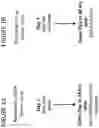 Fig. 02 - Method of making and using mammalian liver cells for treating hemophilia or lysosomal storage disorder