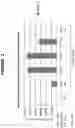 Fig. 03 - Method of making and using mammalian liver cells for treating hemophilia or lysosomal storage disorder