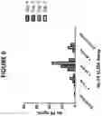 Fig. 07 - Method of making and using mammalian liver cells for treating hemophilia or lysosomal storage disorder