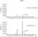 Fig. 07 - Production of manool