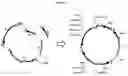 Fig. 08 - Production of manool