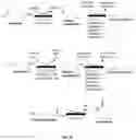 Fig. 09 - Materials and methods for biosynthetic manufacture of carbon-based chemicals