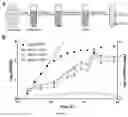 Fig. 04 - Methods and compositions for making vault particles in yeast