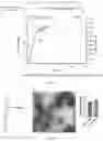 Fig. 08 - Methods and compositions for making vault particles in yeast