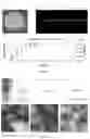 Fig. 09 - Methods and compositions for making vault particles in yeast