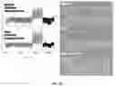 Fig. 35 - METHODS FOR FRAGMENTOME PROFILING OF CELL-FREE NUCLEIC ACIDS