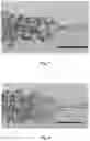 Fig. 07 - AC electrosprayed droplets for digital and emulsion PCR
