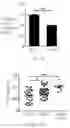 Fig. 09 - METHOD FOR EVALUATING THE STATUS OF LATENT TUBERCULOSIS INFECTION, METHOD FOR EVALUATING THE EFFECT OF THE METHOD FOR TREATING THE SAME, AND TREATMENT METHOD THEREOF