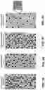 Fig. 04 - Enhanced nucleic acid identification and detection