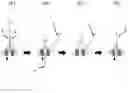 Fig. 01 - Methods and systems for characterizing analytes using nanopores
