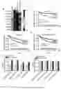 Fig. 07 - Treatment of angiogenesis disorders