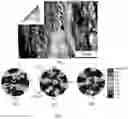 Fig. 08 - Processes for producing continuous bulk forms of iron-silicon alloys and bulk forms produced thereby