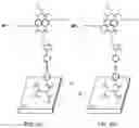 Fig. 07 - ELECTROCHEMICAL DEPROTECTION FOR SITE-SELECTIVE IMMOBILIZATION AND LOCAL ASSEMBLY OF MOLECULES BY CLICK-CHEMISTRY