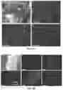 Fig. 06 - LAYERED GaAs, METHOD OF PREPARING SAME, AND GaAs NANOSHEET EXFOLIATED FROM SAME