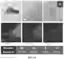 Fig. 07 - LAYERED GaAs, METHOD OF PREPARING SAME, AND GaAs NANOSHEET EXFOLIATED FROM SAME