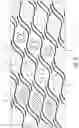 Fig. 07 - Embossed multi-ply tissue product