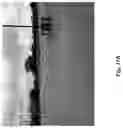 Fig. 15 - METHOD AND APPARATUS FOR MANAGEMENT AND CONTROL OF RAINWATER