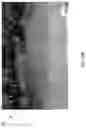 Fig. 19 - METHOD AND APPARATUS FOR MANAGEMENT AND CONTROL OF RAINWATER